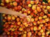 Georgia Peaches